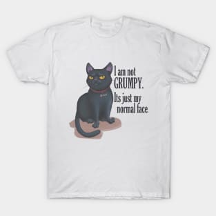 cat with groompy face T-Shirt